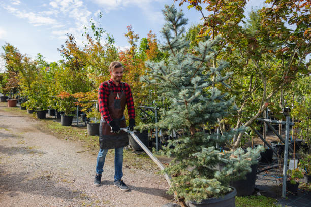 Best Commercial Tree Services  in Lakemont, PA